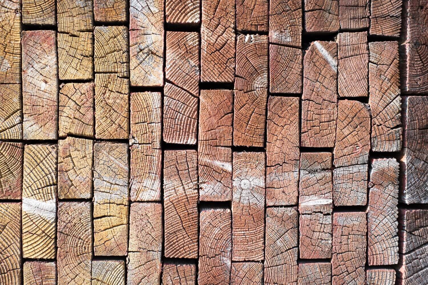 the village and their great wooden wall
